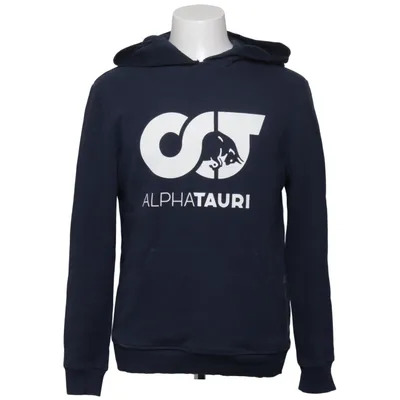 Kapuzenpullover (Blau) von Alphatauri Baumwolle, Polyester