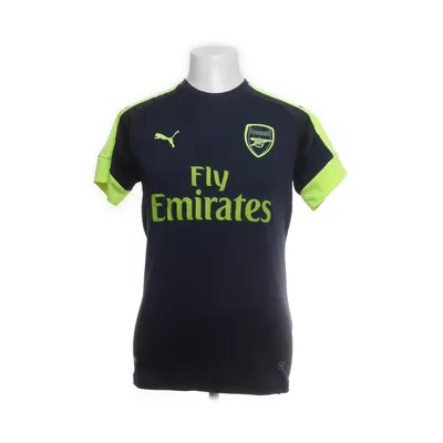 Match jersey (Blue, Green) from Puma Polyester