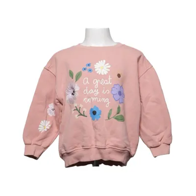 Sweatshirt (Pink, Flerfarvet) fra Zara