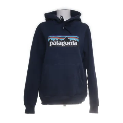 Capuchon sweater (Blauw) van Patagonia