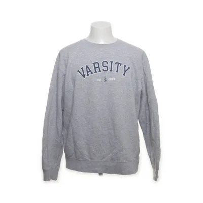 Sweatshirt (Gray) from Russell Cotton, Polyester