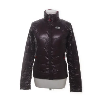 Dunjacka (Brun) från The North Face Summit Series