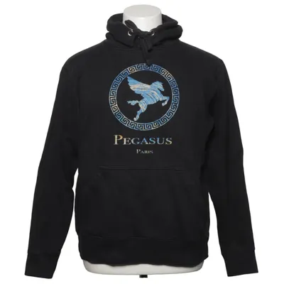 Huvtröja (Pegasus) från FDM Bomull, Polyester