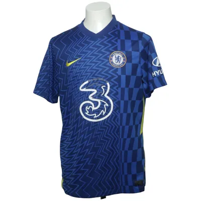 Fotbollströja (Blå, Flerfärgad) från Nike