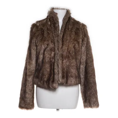 Jacket (Brown) from Hollister California