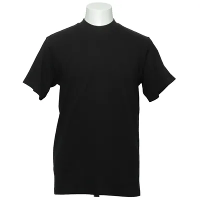 T-shirt (Beefy-T) from Hanes Cotton