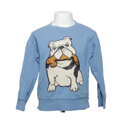 Sweatshirt (Blå, Flerfarvet) fra Lindex Bomuld
