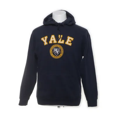 Hoodie (Blue) from Homerun