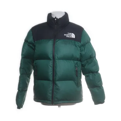 Dunjakke (Grøn, Sort) fra The North Face Dun, Fjer, Nylon, Polyester
