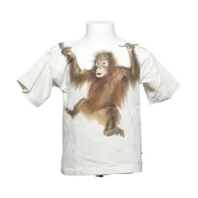 T-shirt (Beige, Brun) fra Molo Økologisk bomuld