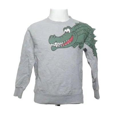 Sweatshirt (Gray, Green, Multicolored) from Gassa