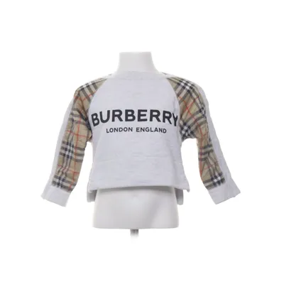 Sweatshirt (Gray, Multicolored) from Burberry Cotton