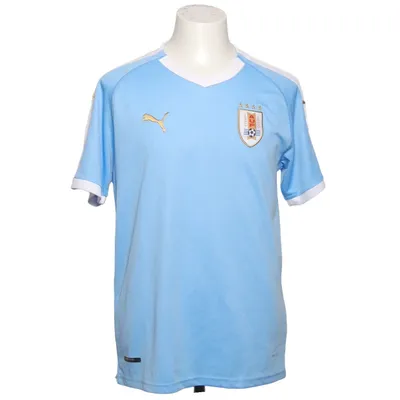 Football jersey (Blue, White) from Puma Polyester