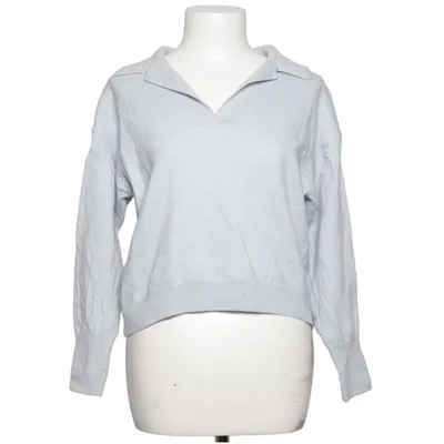 Sweater (Blue) from Max Studio Merino wool