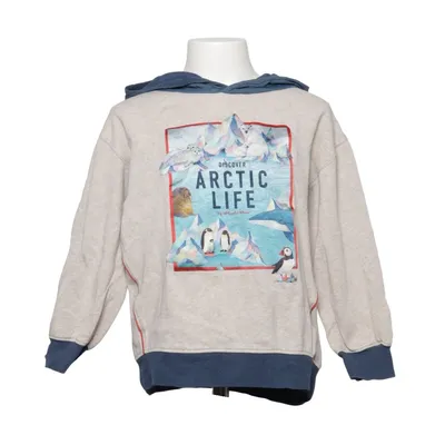 Capuchon sweater (Beige, Meerkleurig) van Whooli Chen x H&M Katoen, Polyester