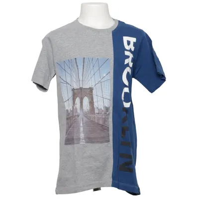 T-shirt (Grå, Blå, Flerfärgad) från Fitz Ekologisk bomull