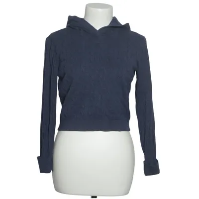 Hoodie (Blue)