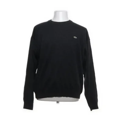 Trui (Grijs) van Lacoste