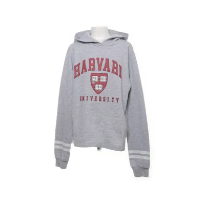 Huvtröja (Grå, Röd, Vit) från Harvard