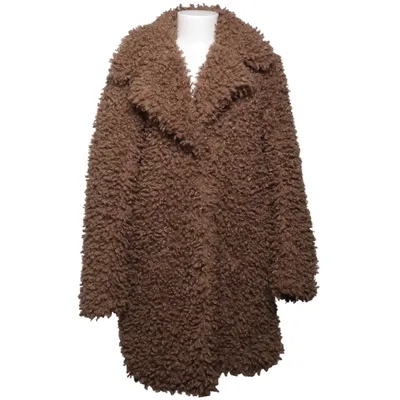 Winter jacket (Brown) from Zara Outerwear Polyester