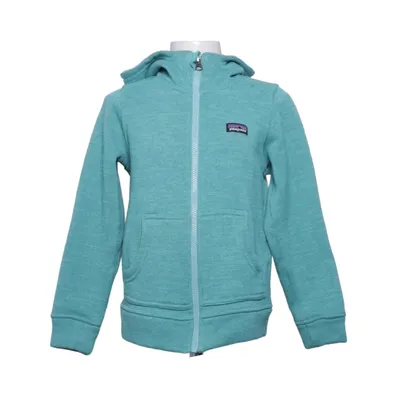 Capuchon sweater (Groen) van Patagonia Polyester