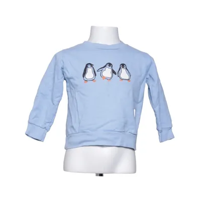 Sweatshirt (Blue) from Alisa