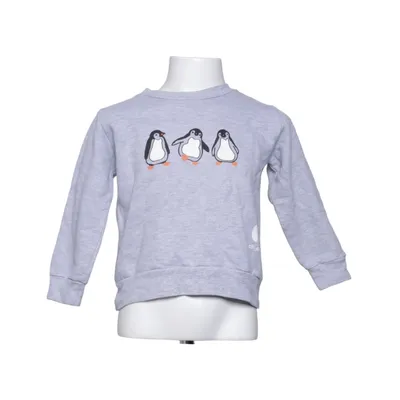Sweatshirt (Gray) from Alisa