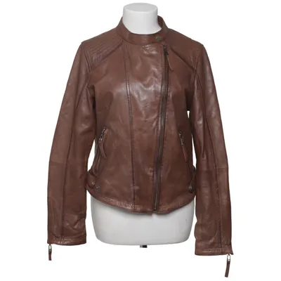 Jacka (Brun) från Dranella