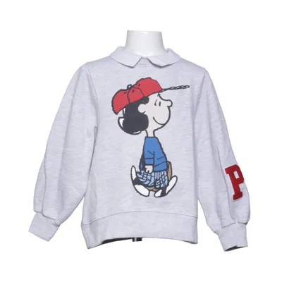 Sweatshirt (Gray, Multicolored) from Zara x Peanuts