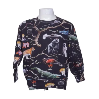 Sweatshirt (Noir, Multicolore) de Molo Coton