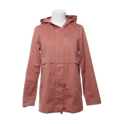Jack (Bruin) van Elvine Katoen, Polyester