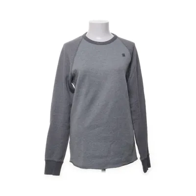 Sweatshirt (Gray) from Raw Cotton, Polyester