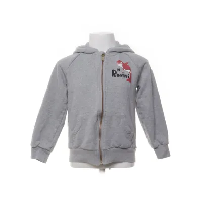 Capuchon sweater (Grijs, Meerkleurig) van Mini Rodini