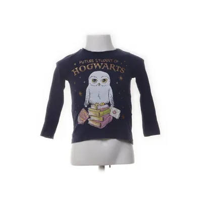 Långärmad t-shirt (Blå) från Harry Potter
