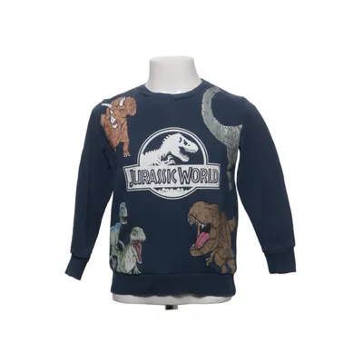 Sweatshirt (Blå, Flerfarvet) fra Jurassic World Bomuld