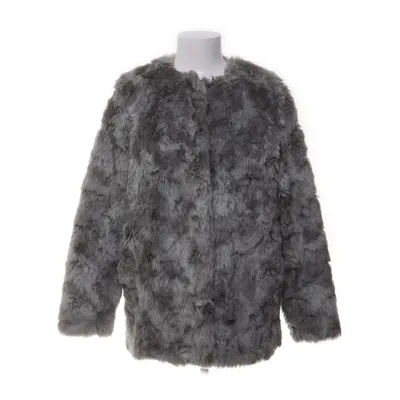 Vinterjacka (Grå) från H&M Akryl, Polyester, Pälsimitation