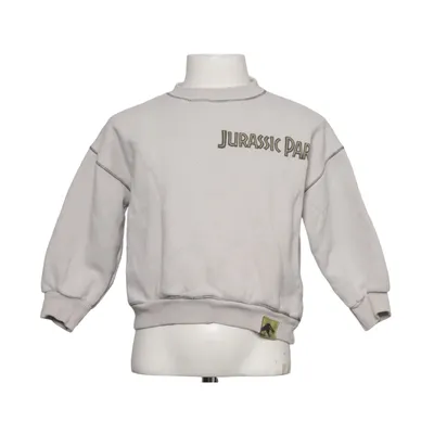Sweatshirt (Beige) de Jurassic Park Coton, Élasthane