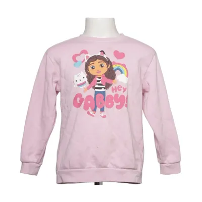 Sweatshirt (Roze) van Dreamworks Katoen, Polyester