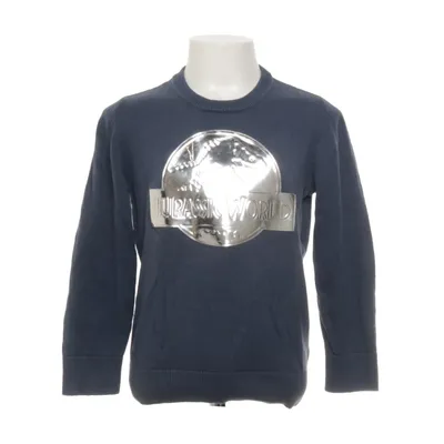 Sweater (Blå) fra Jurassic World Bomuld