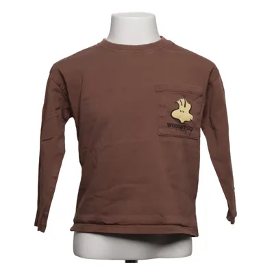 Langærmet t-shirt (Brun) fra Zara x Peanuts Bomuld