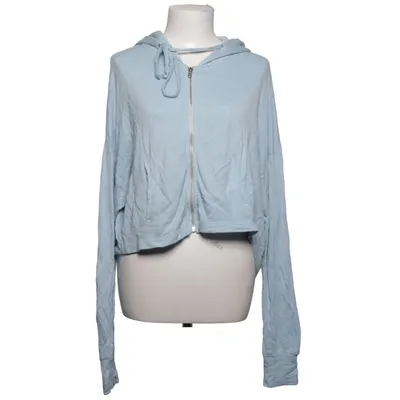Hoodie (Blue) from Wildfox