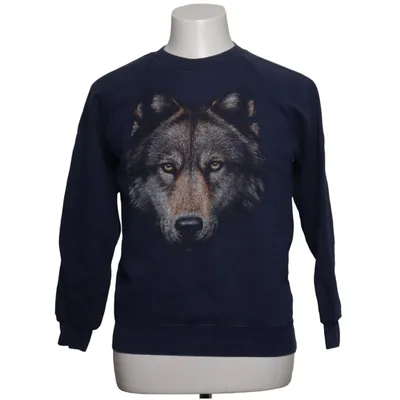 Sweatshirt (Blå) fra Fruit of the Loom Bomuld, Polyester