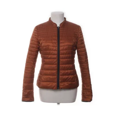 Windjack (Bruin) van Taifun