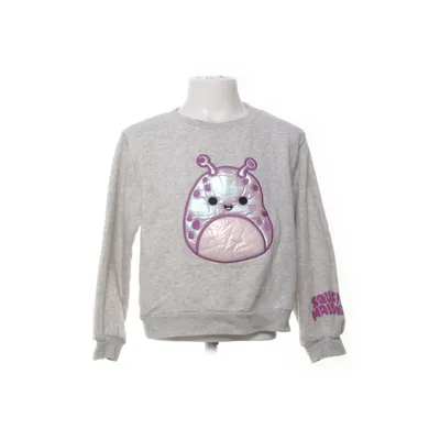 Sweatshirt (Grå, Flerfarvet) fra H&M Bomuld, Polyester