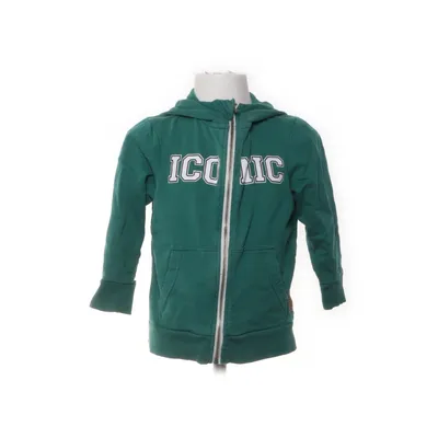Capuchon sweater (Groen) van Iconic Sport by Lager 157 Katoen