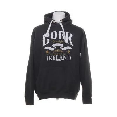 Living in Ireland [洋書] Vanishing Country Houses Of Ireland
