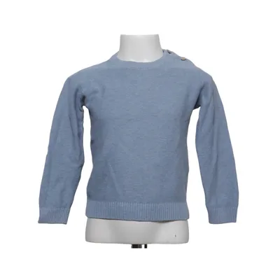 Trui (Blauw) van Pusblu Katoen
