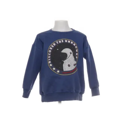 Sweatshirt (Blå, Flerfarvet) fra Zara Boys Bomuld, Elastan