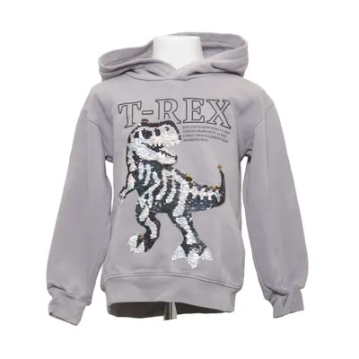 Sweat à capuche (Gris) de H&M Kids Coton, Polyester
