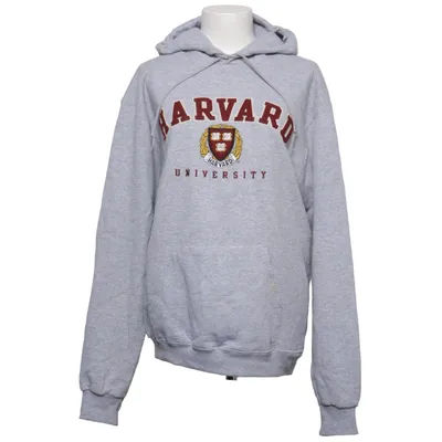 Hoodie (Gray) from Champion
